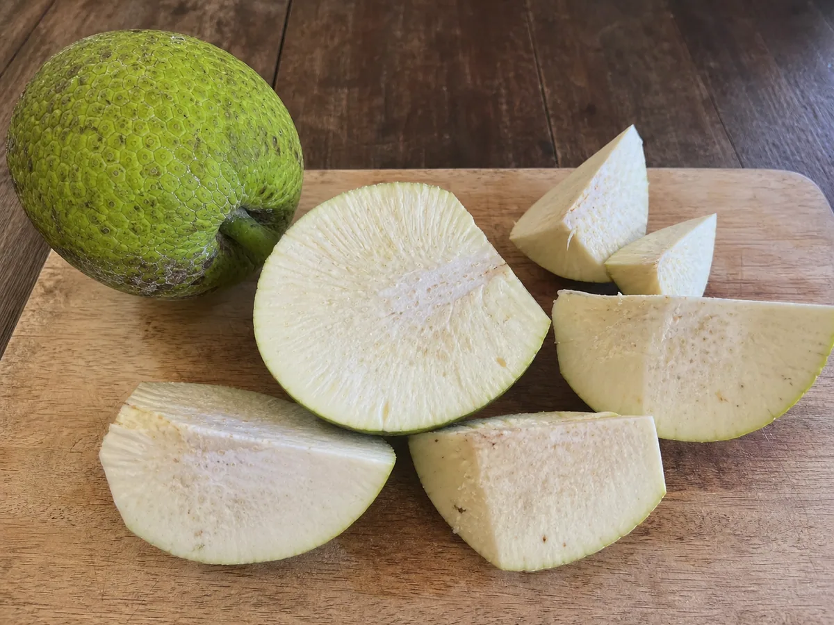 Peeled, cored mature breadfruit cut into thick raw wedges after draining the latex