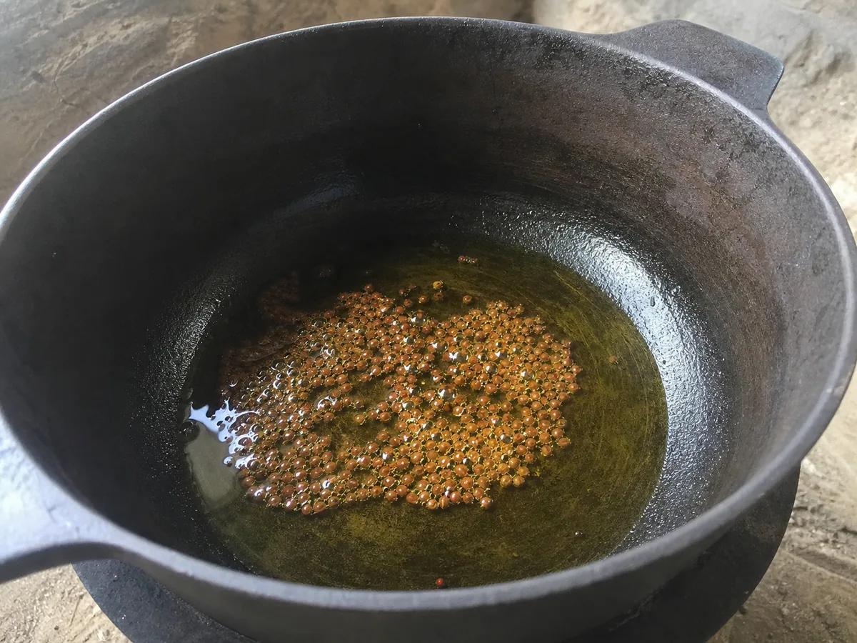 Sementes de feno-grego temperadas até castanho-avermelhado escuro no óleo de mostarda culinário